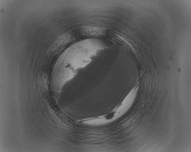 X0000077290643200611031551