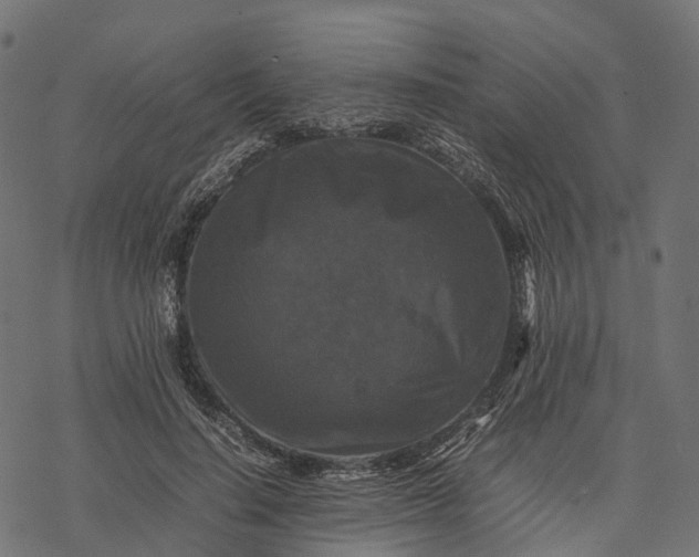 X0000077290644200611031551