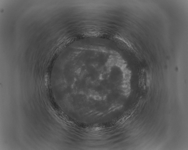 X0000077290647200611031551