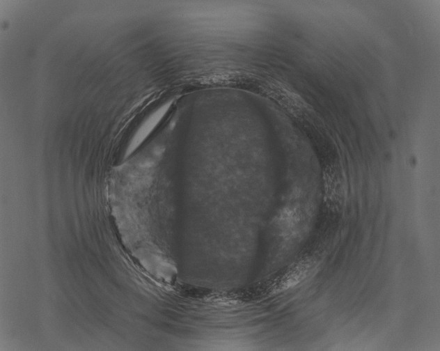 X0000077290648200611031551