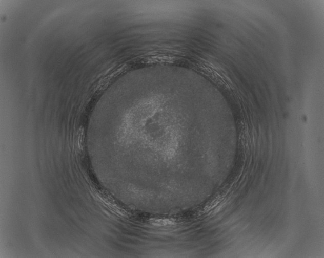 X0000077290649200611031551