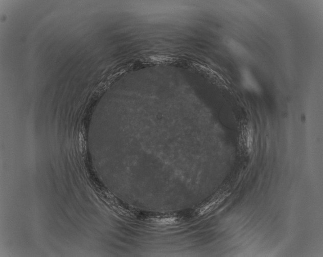 X0000077290651200611031551