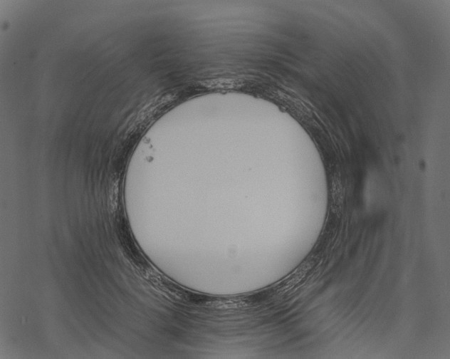 X0000077290652200611031551