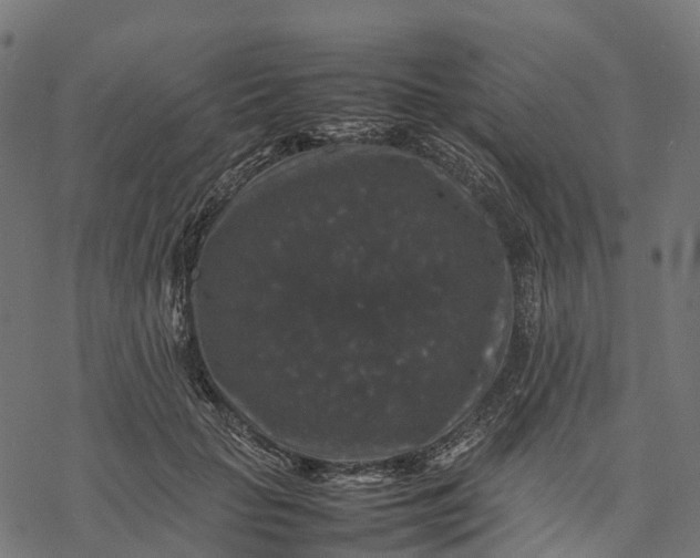 X0000077290653200611031551