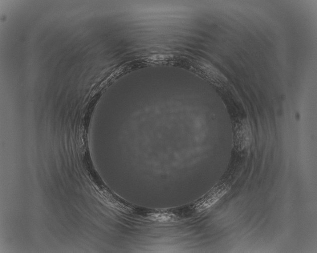 X0000077290654200611031551