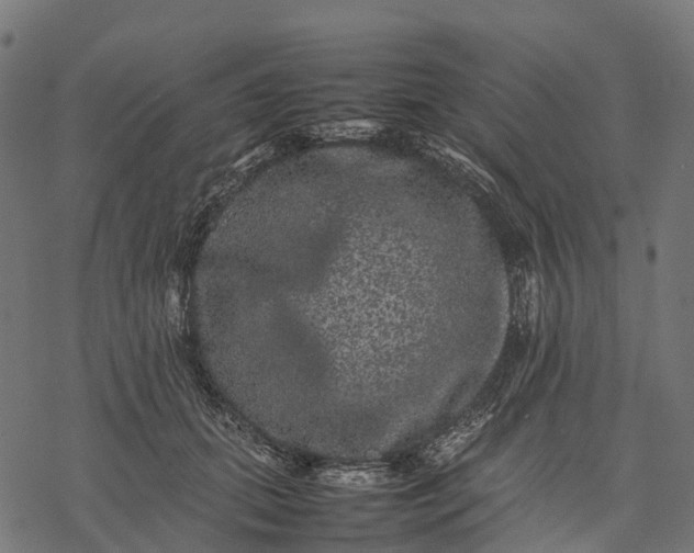 X0000077290655200611031551