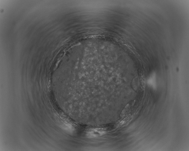 X0000077290657200611031551