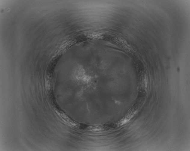 X0000077290658200611031551