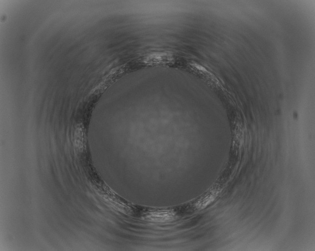 X0000077290659200611031551