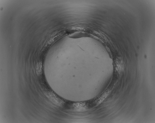 X0000077290660200611031551