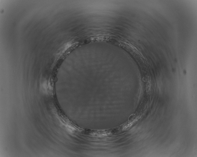 X0000077290661200611031551