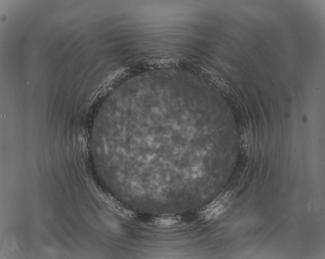 X0000077290662200611031551