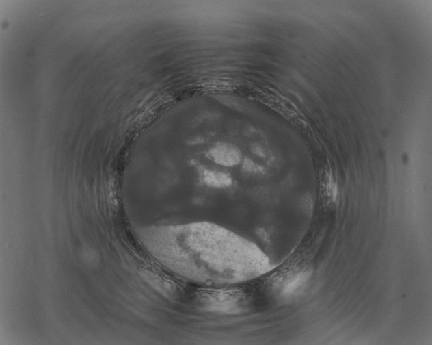 X0000077290663200611031551