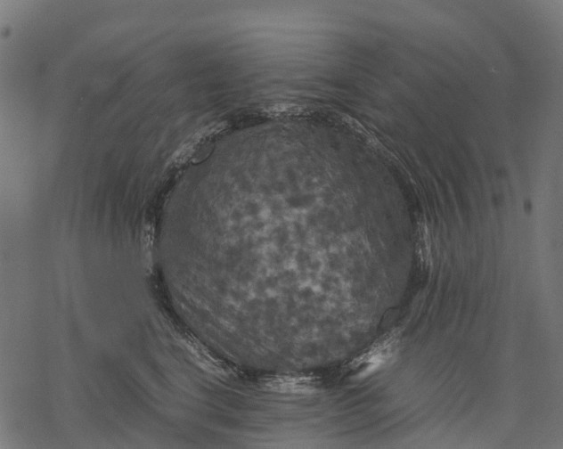 X0000077290664200611031551