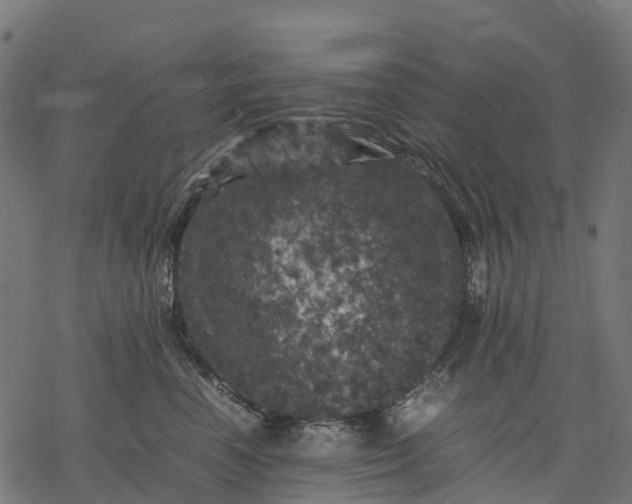 X0000077290666200611031552