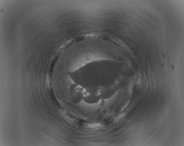 X0000077290669200611031552