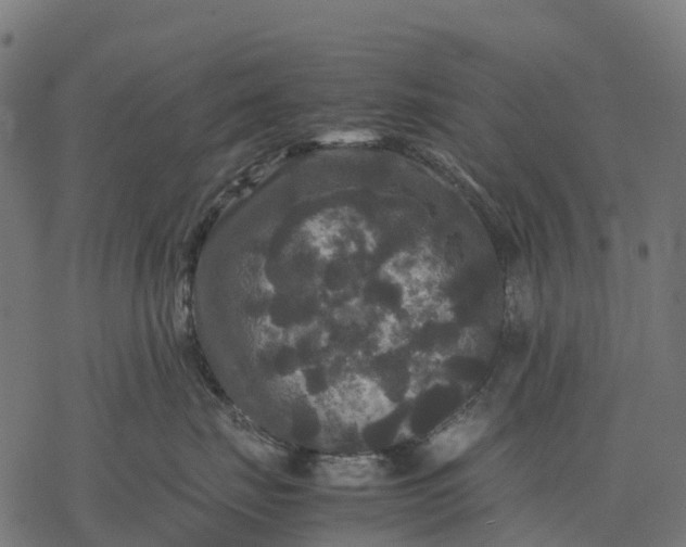 X0000077290671200611031552