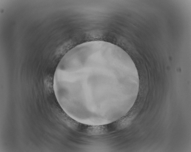 X0000077290672200611031552