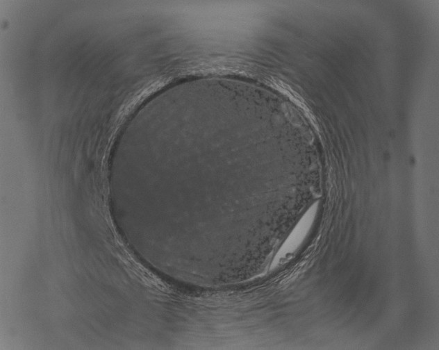 X0000077290673200611031551