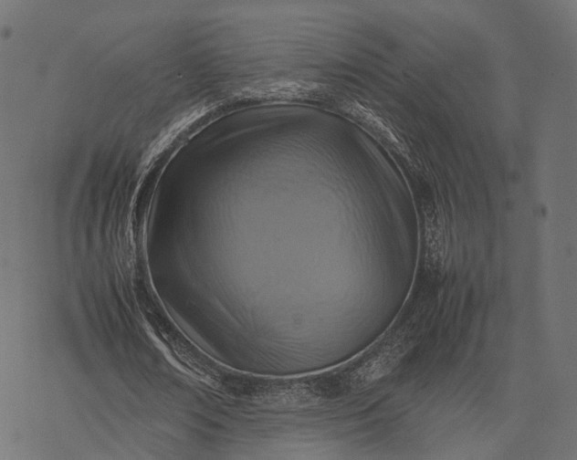 X0000077290674200611031551