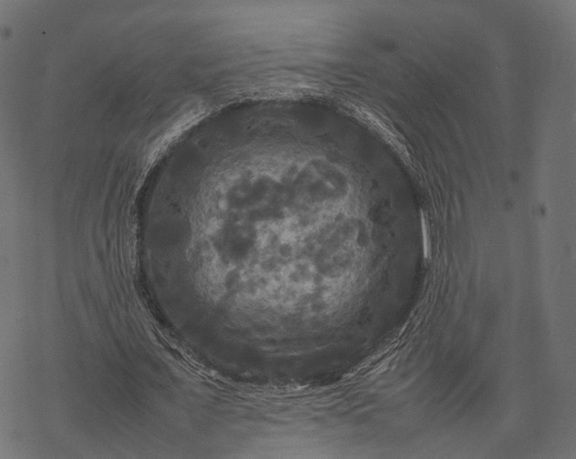 X0000077290675200611031551