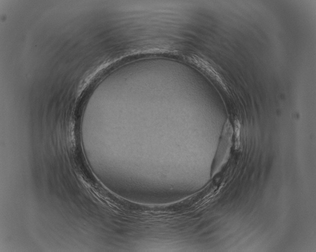 X0000077290676200611031551