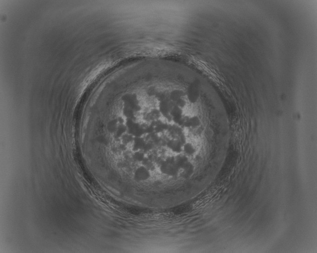 X0000077290679200611031551