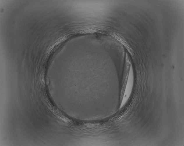 X0000077290681200611031551