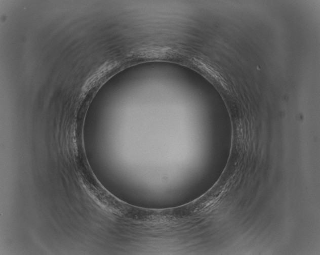 X0000077290682200611031551