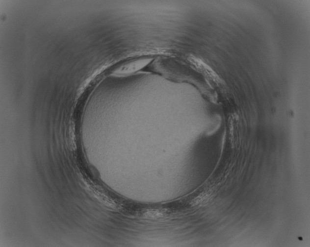 X0000077290684200611031551