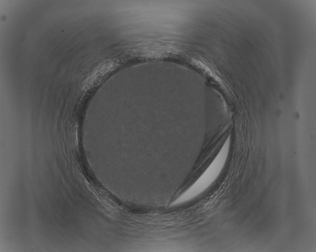 X0000077290685200611031551