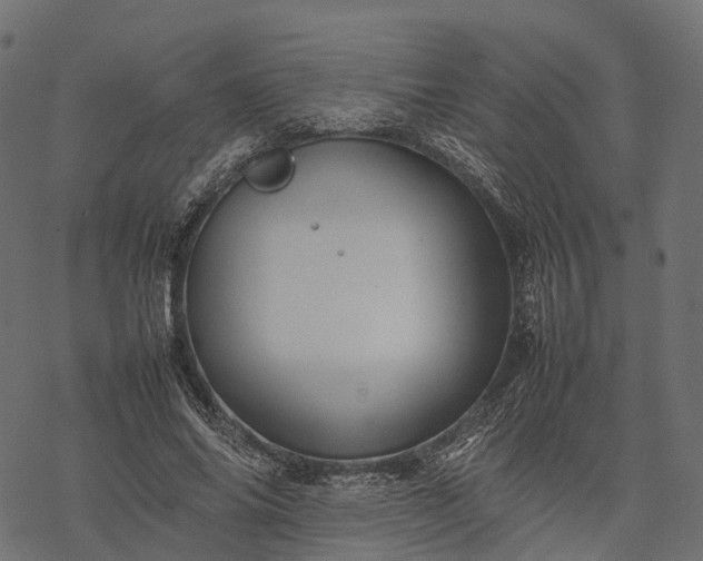 X0000077290686200611031551