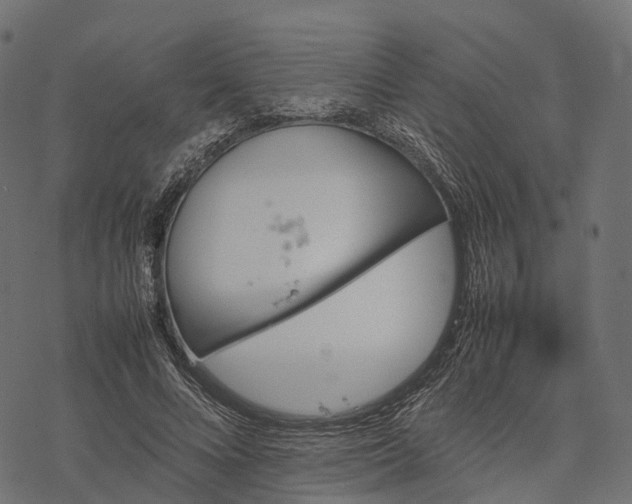 X0000077290688200611031551