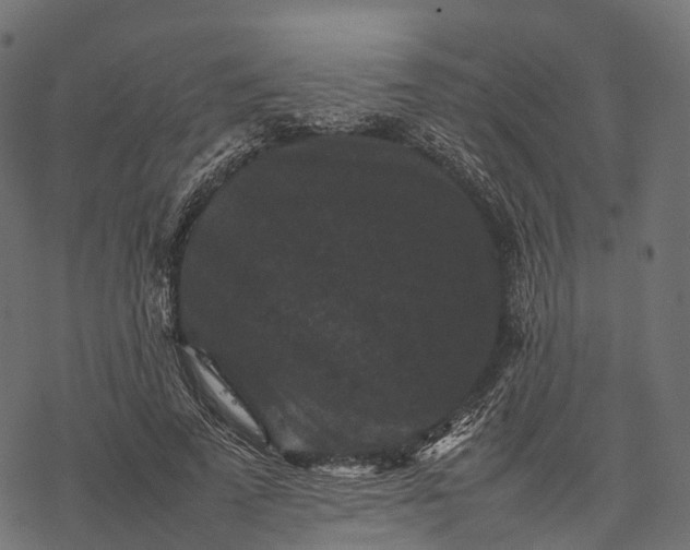 X0000077290689200611031551