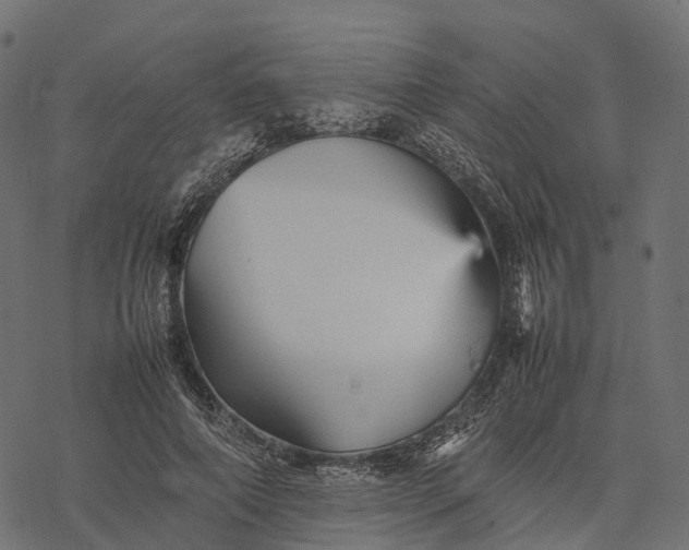 X0000077290690200611031551