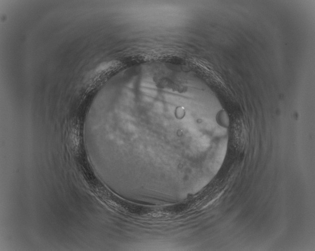 X0000077290691200611031551