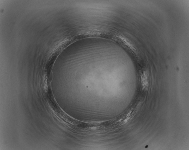 X0000077290692200611031551