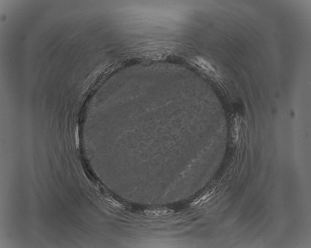 X0000077290693200611031551