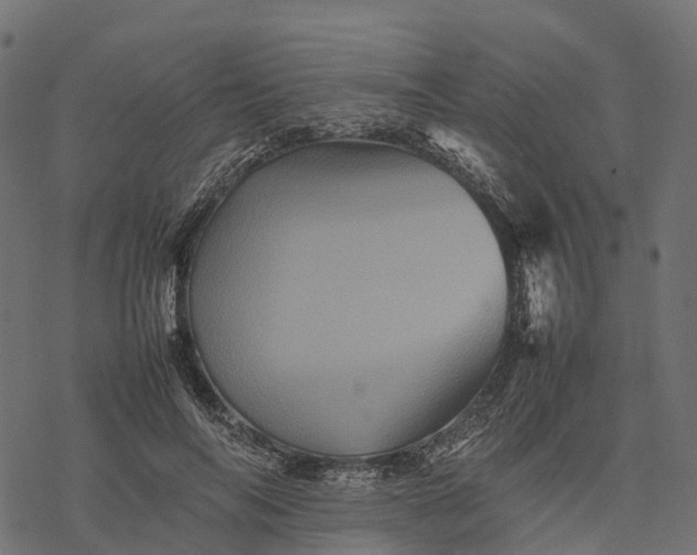 X0000077290694200611031550