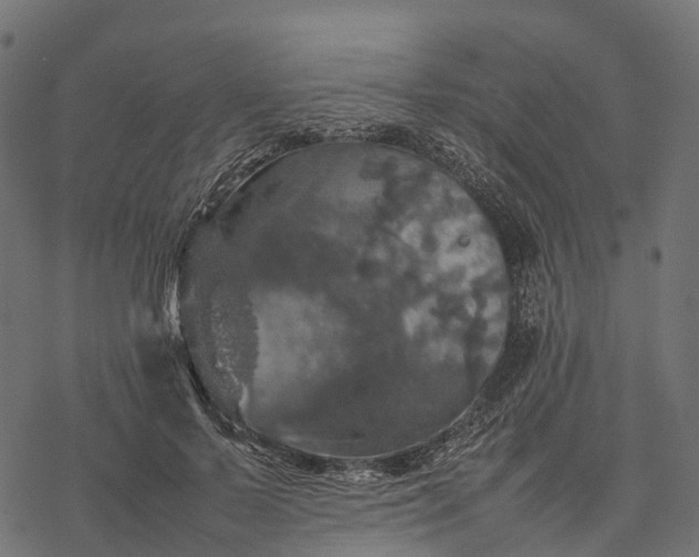 X0000077290695200611031550