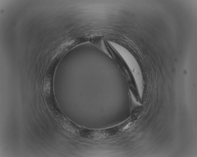 X0000077290697200611031550