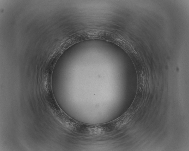 X0000077290698200611031550