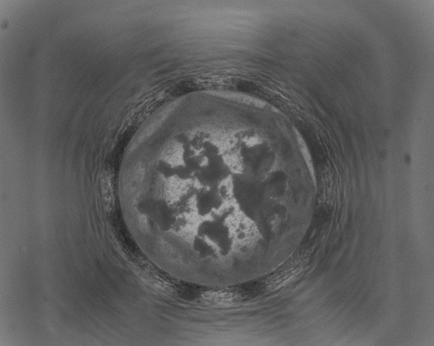 X0000077290699200611031550