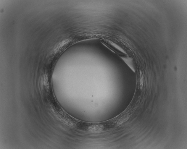 X0000077290700200611031550