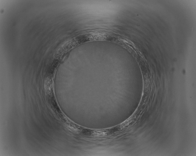 X0000077290701200611031550