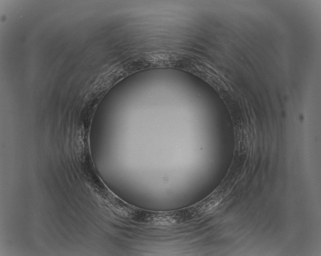 X0000077290702200611031550