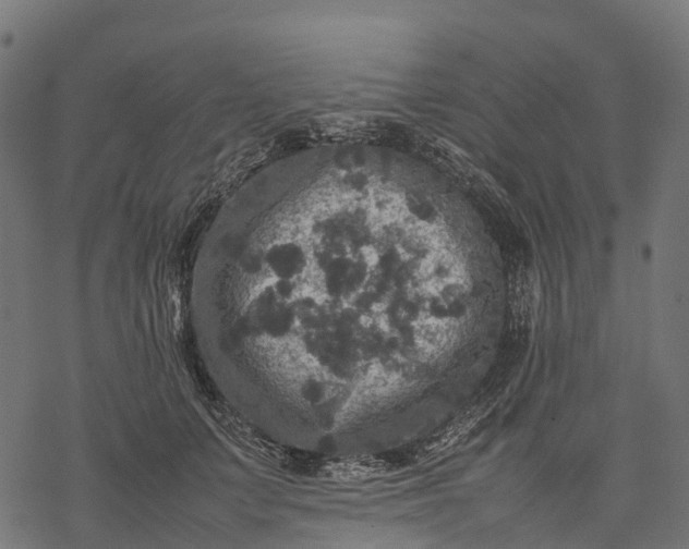 X0000077290703200611031550