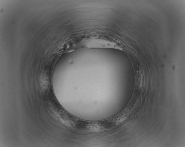 X0000077290704200611031550