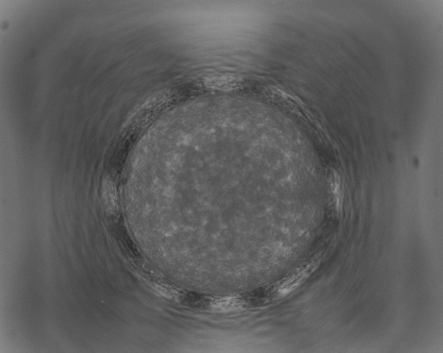 X0000077290705200611031550