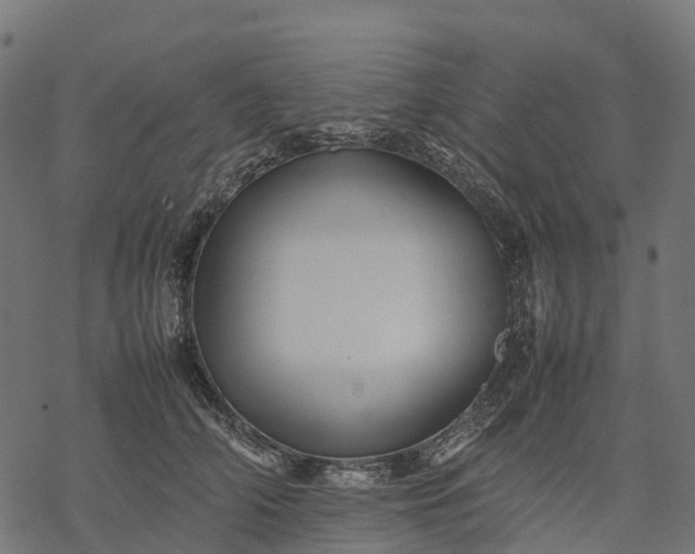 X0000077290706200611031550